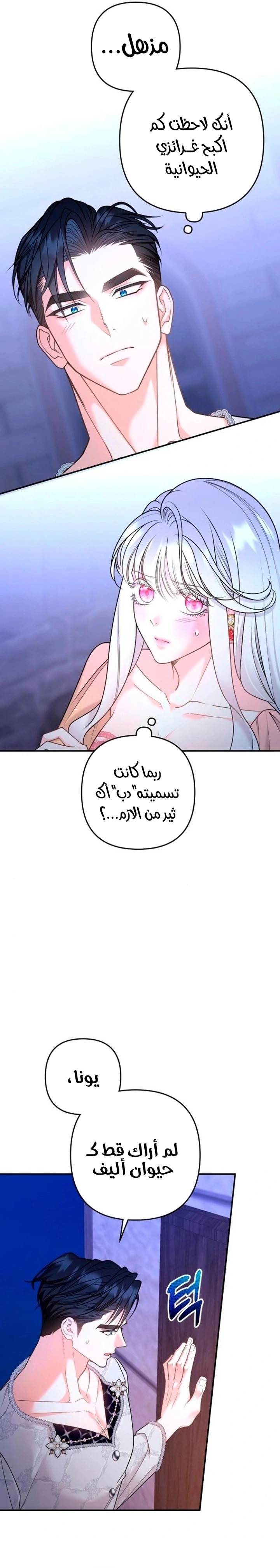 الصفحة 21