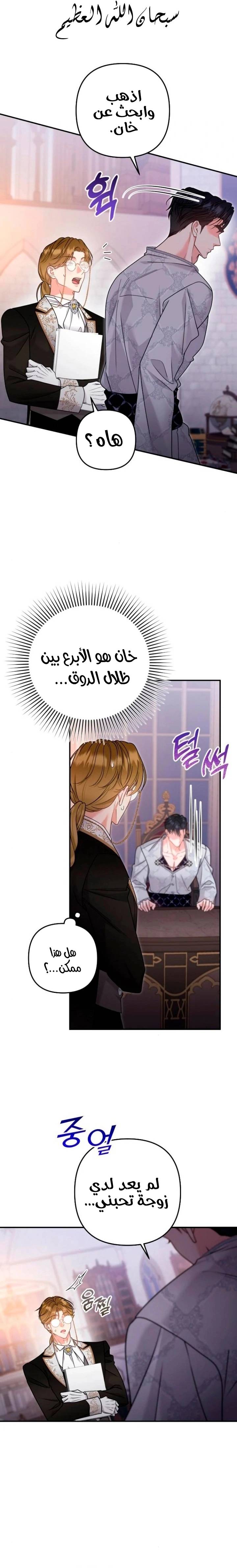 الصفحة 26