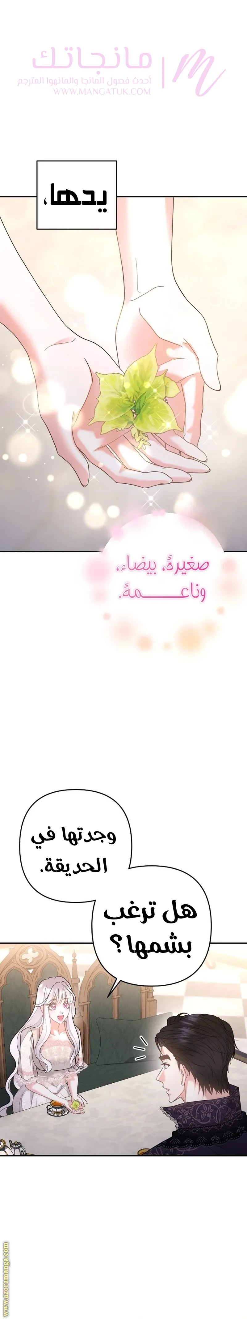 الصفحة 11