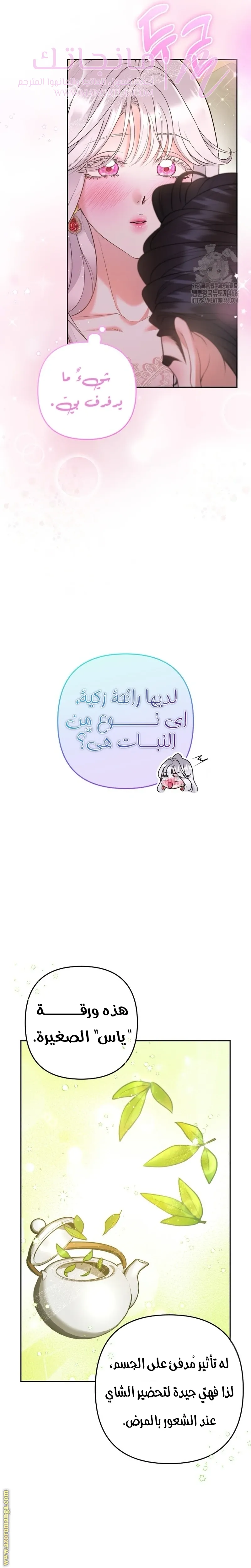 الصفحة 13