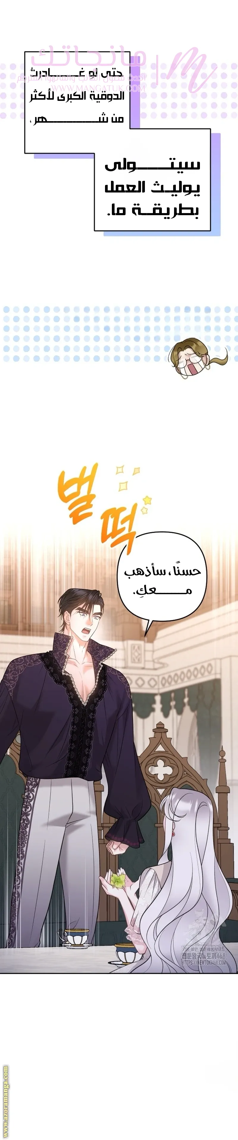 الصفحة 17