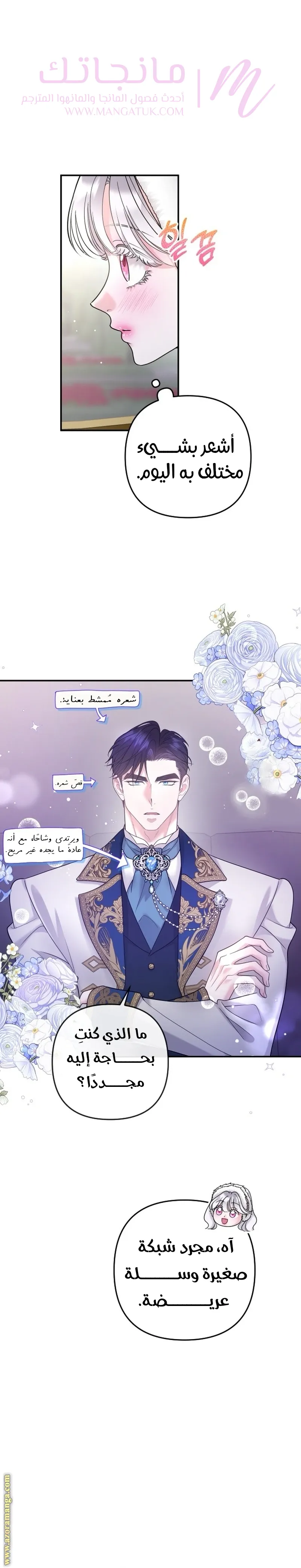 الصفحة 27