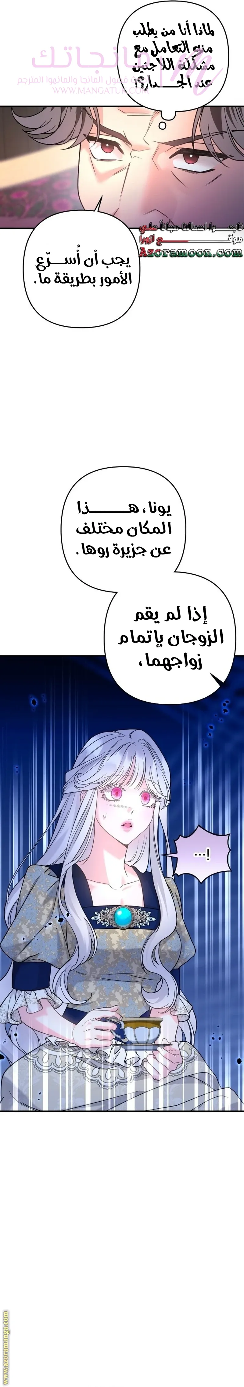 الصفحة 17