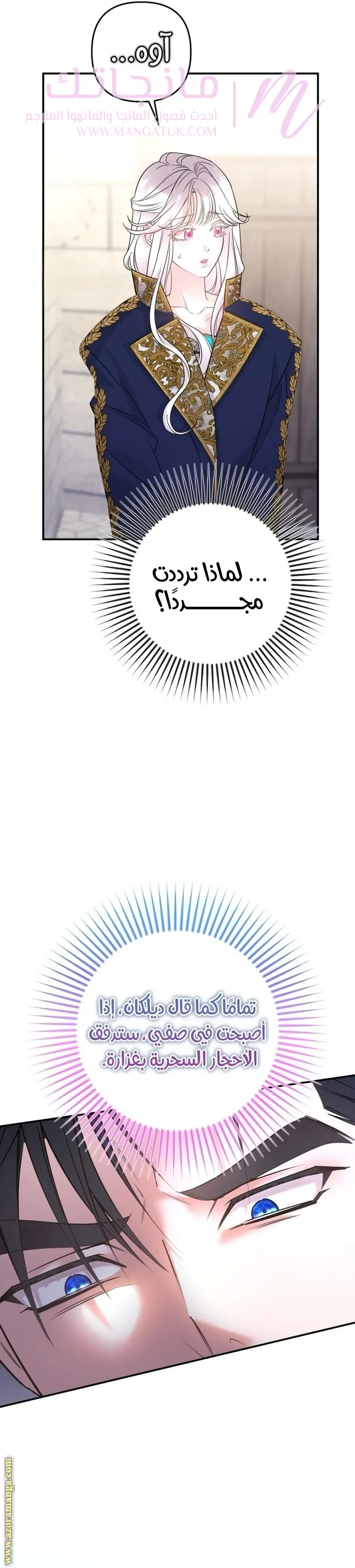 الصفحة 27