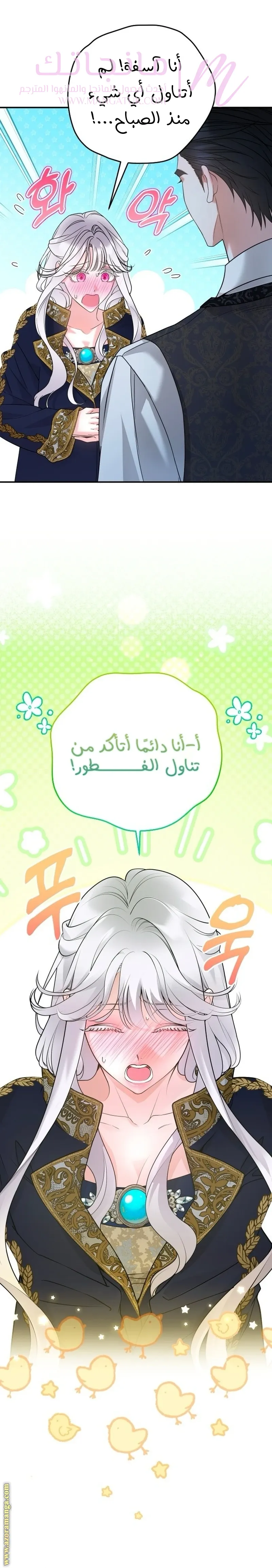 الصفحة 29