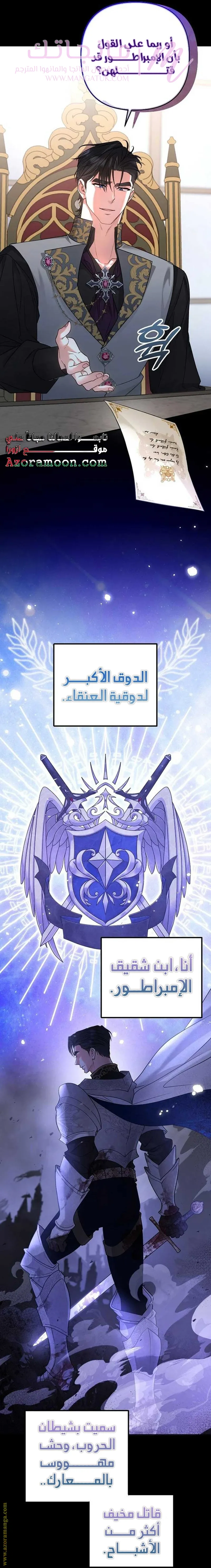 الصفحة 17