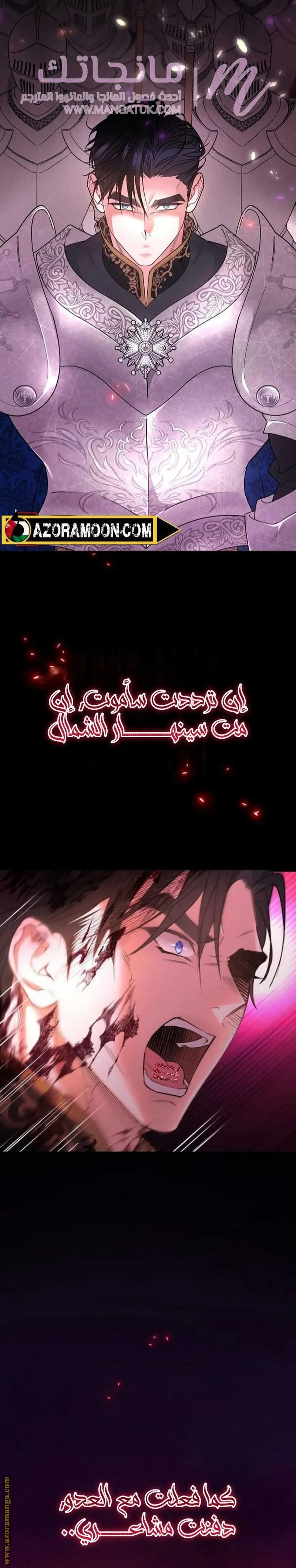 الصفحة 19