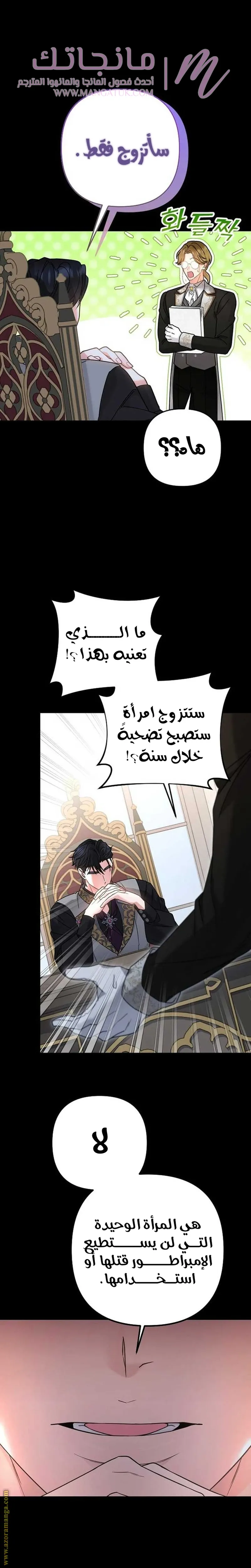 الصفحة 23