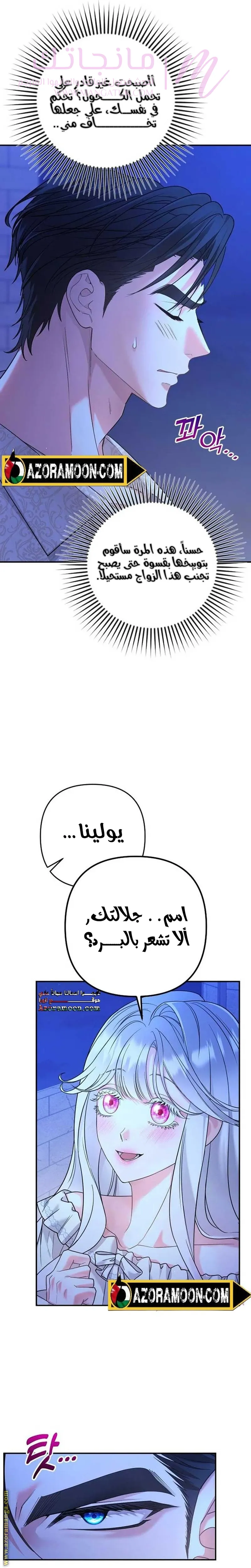 الصفحة 26