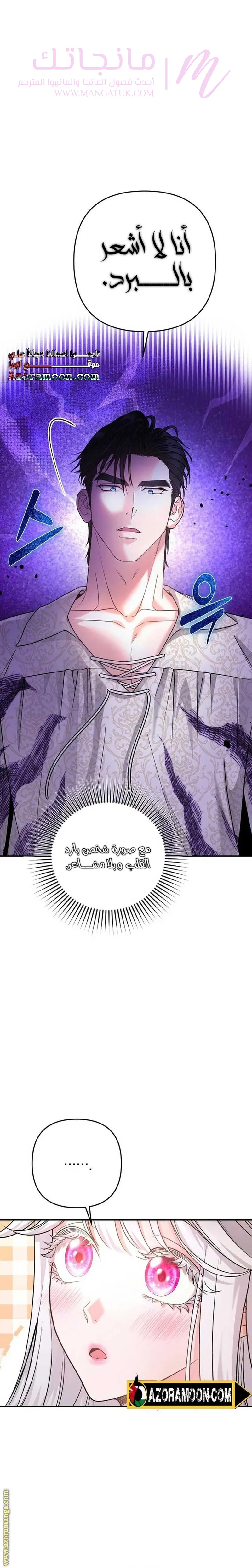 الصفحة 27