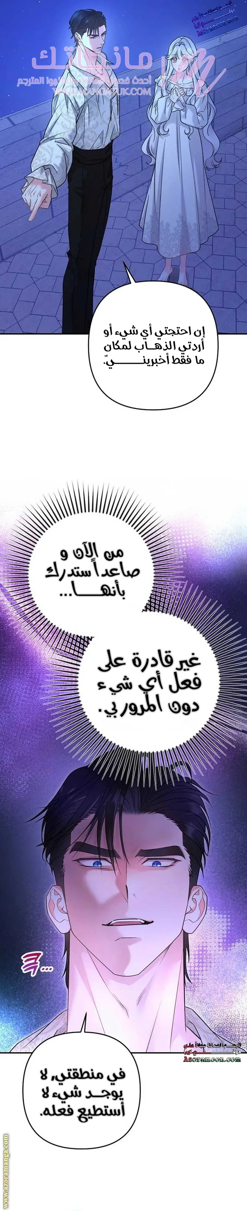 الصفحة 29