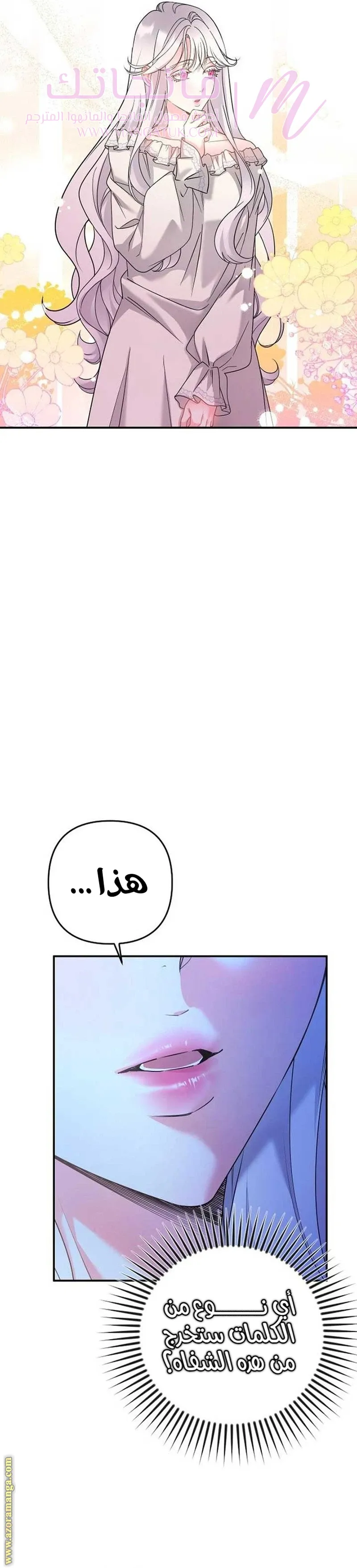 الصفحة 42
