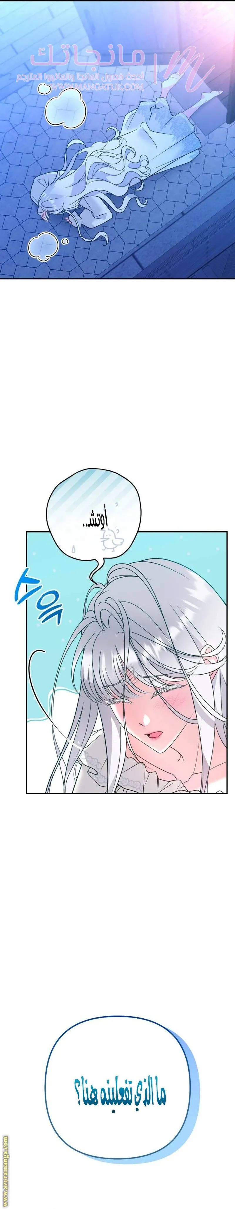 الصفحة 38
