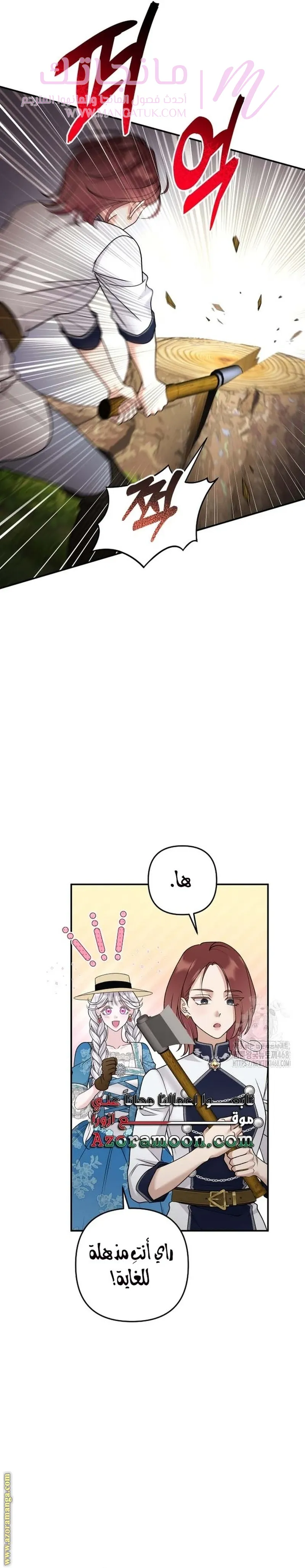 الصفحة 23