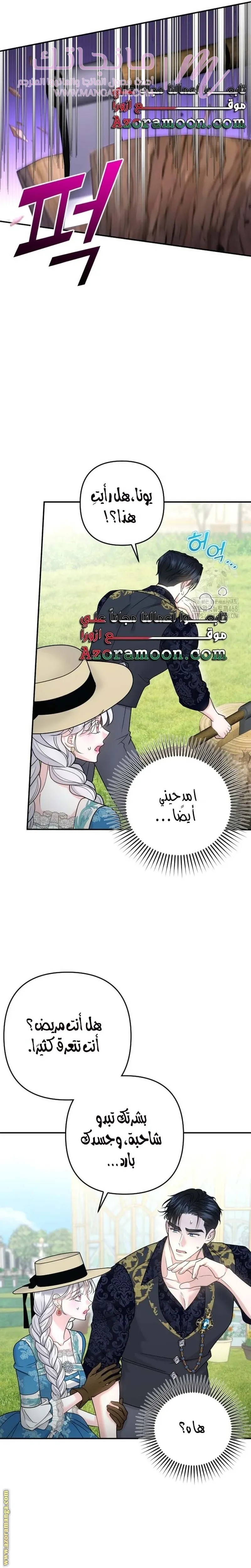 الصفحة 25