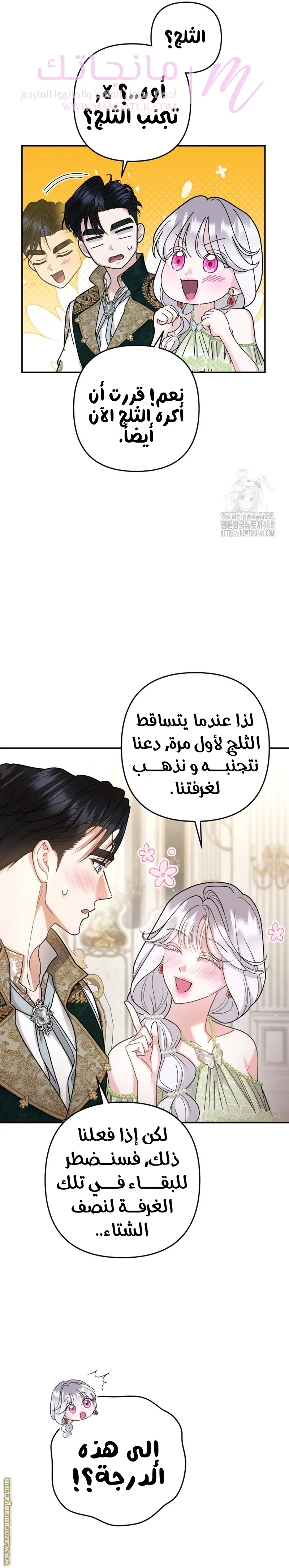 الصفحة 17