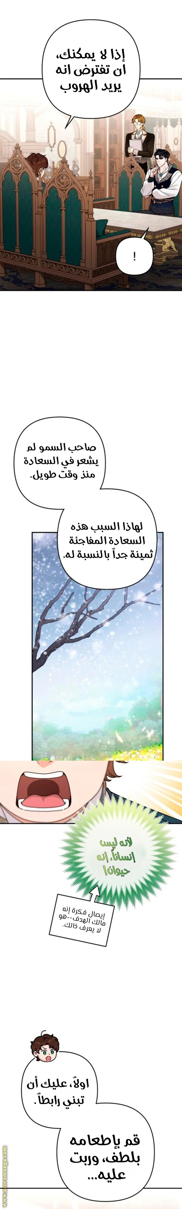الصفحة 12