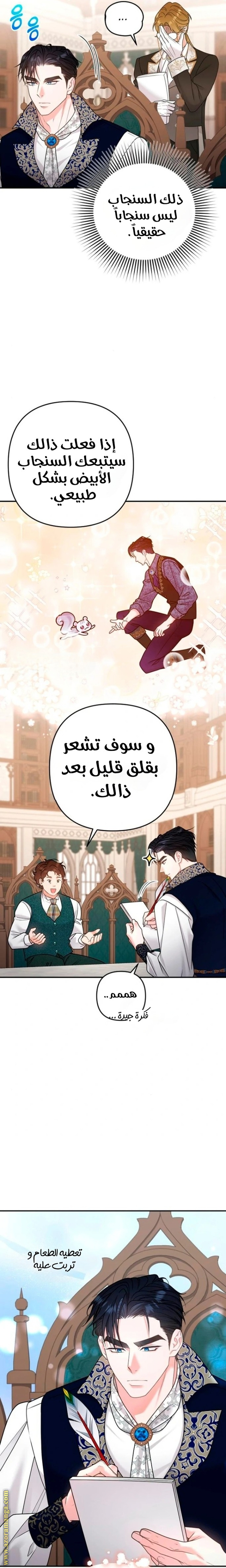 الصفحة 13