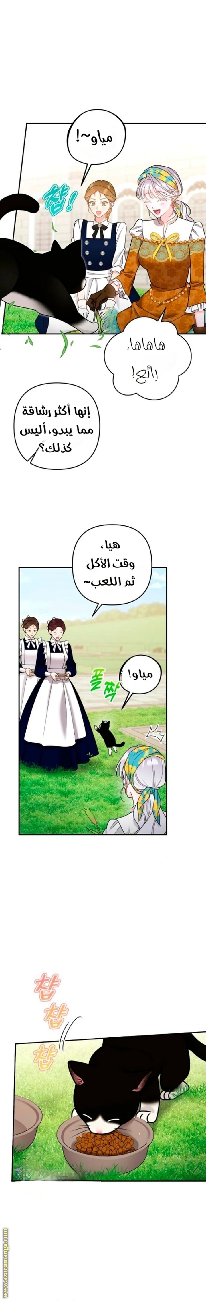 الصفحة 26
