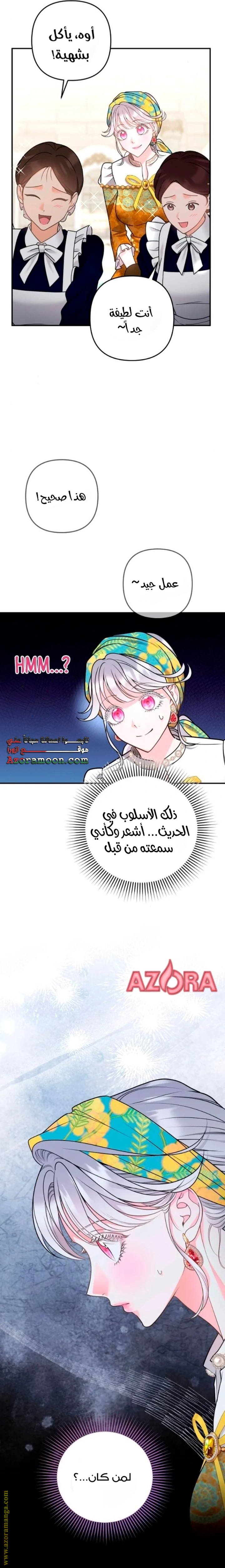 الصفحة 27