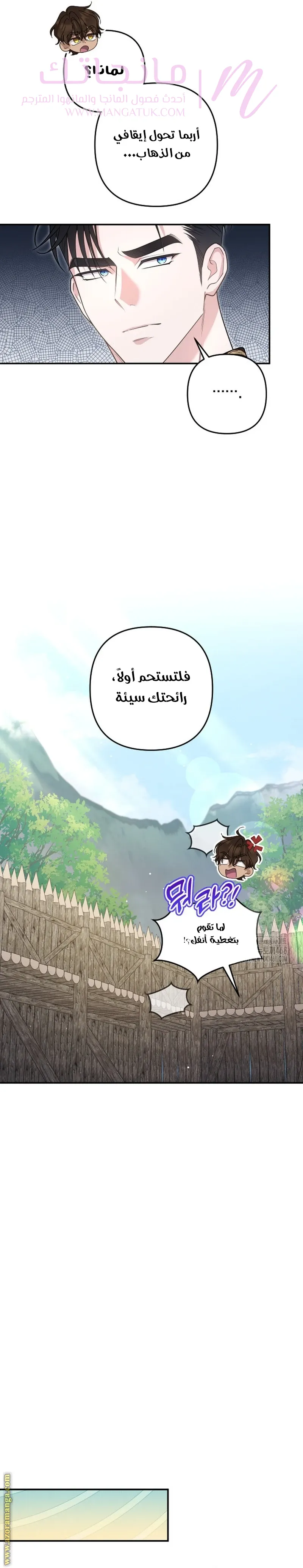 الصفحة 29