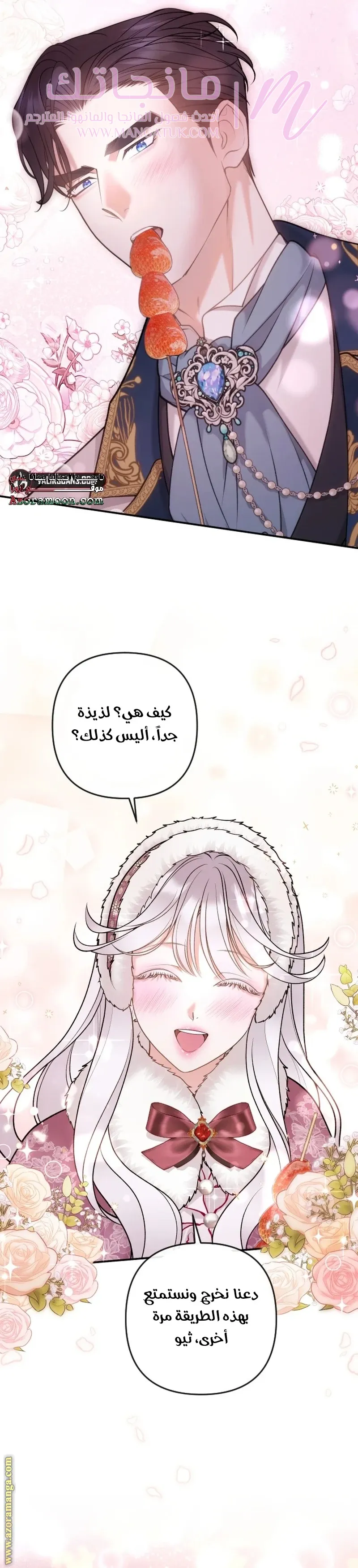 الصفحة 27