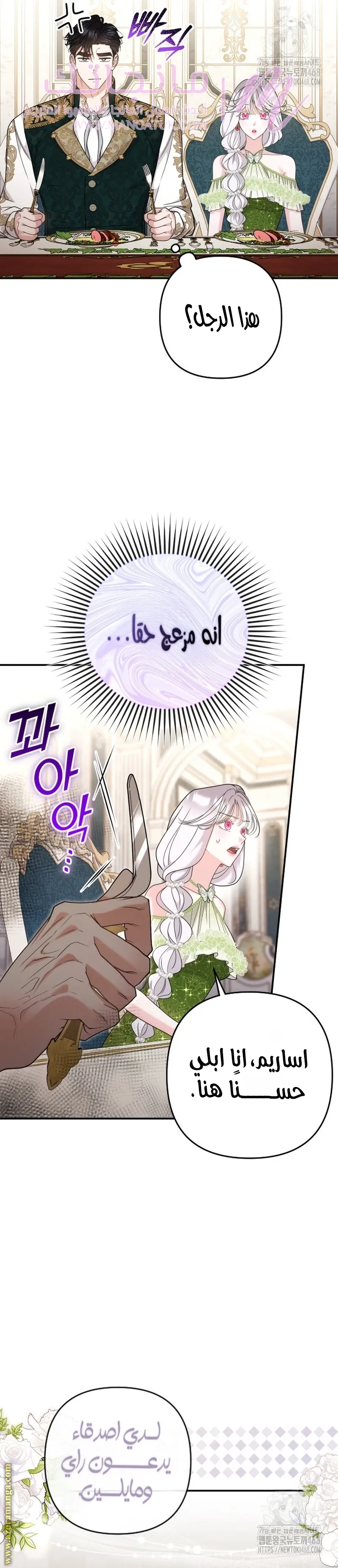 الصفحة 17