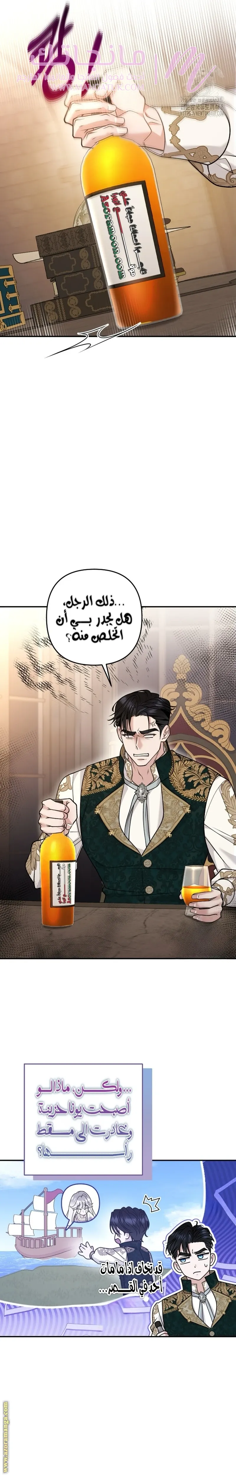الصفحة 27