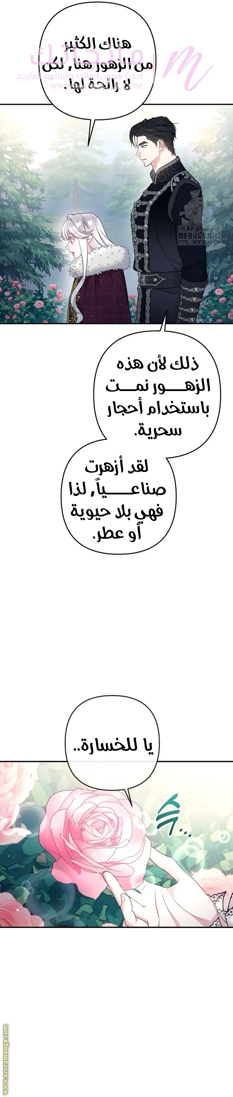 الصفحة 11