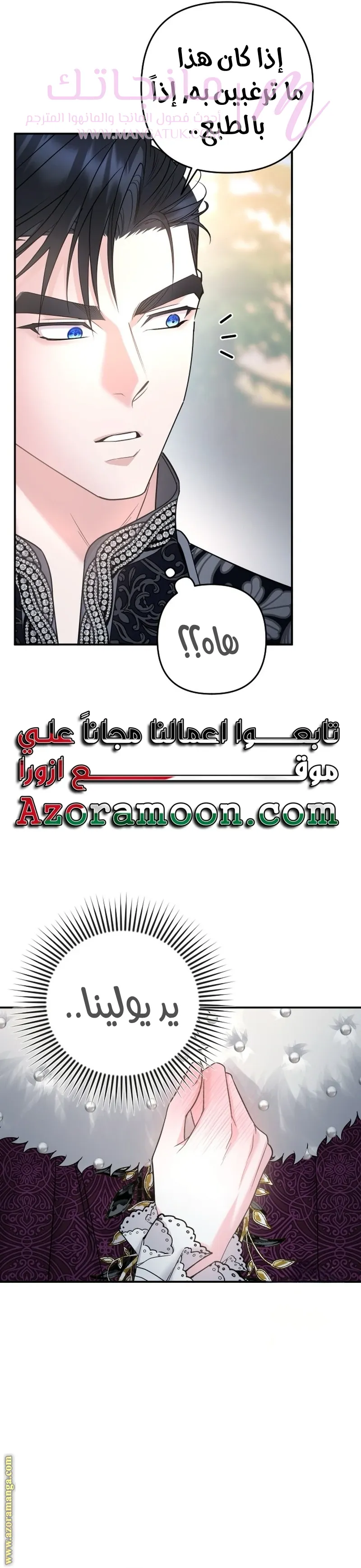 الصفحة 17