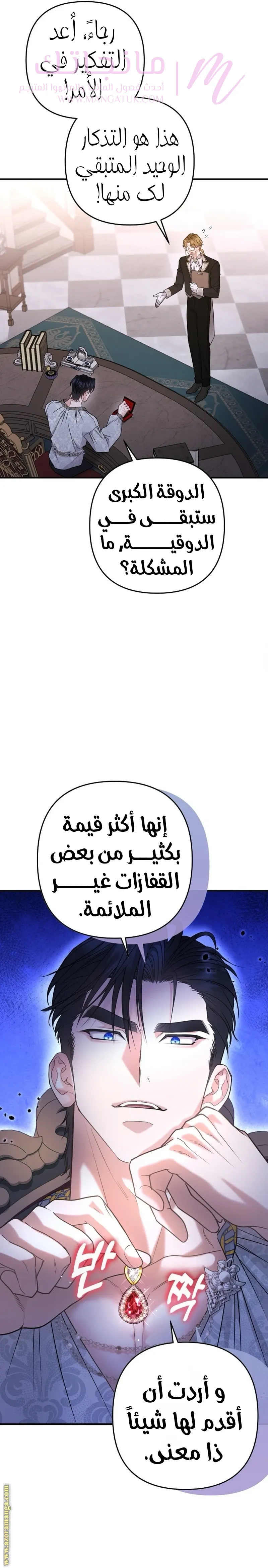 الصفحة 29