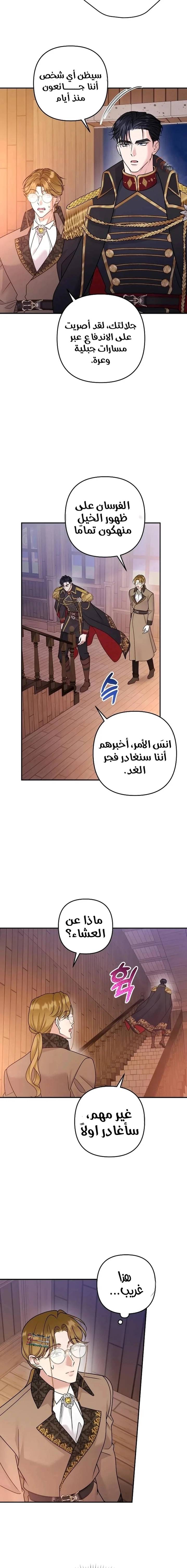 الصفحة 13