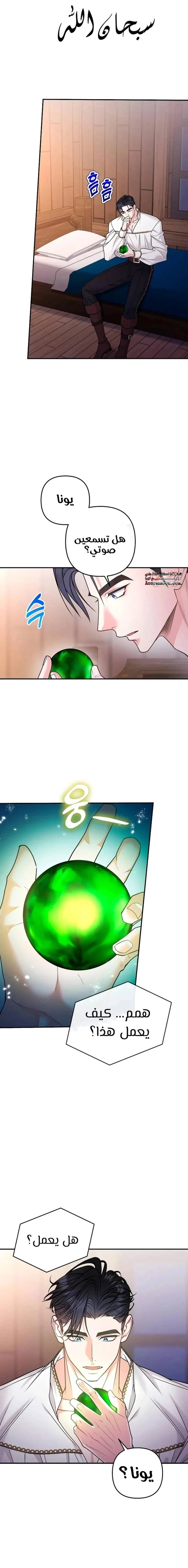 الصفحة 15