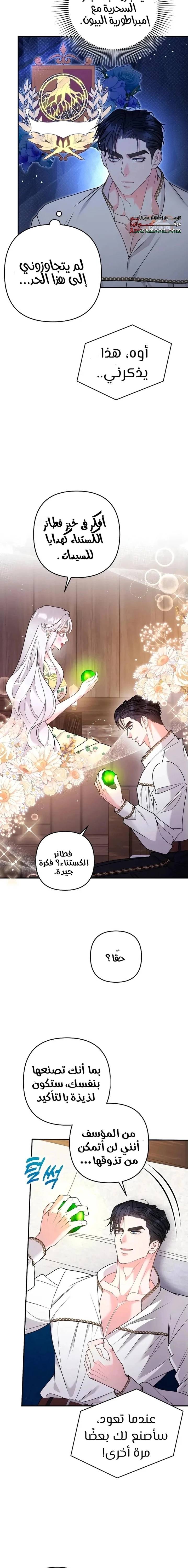 الصفحة 17
