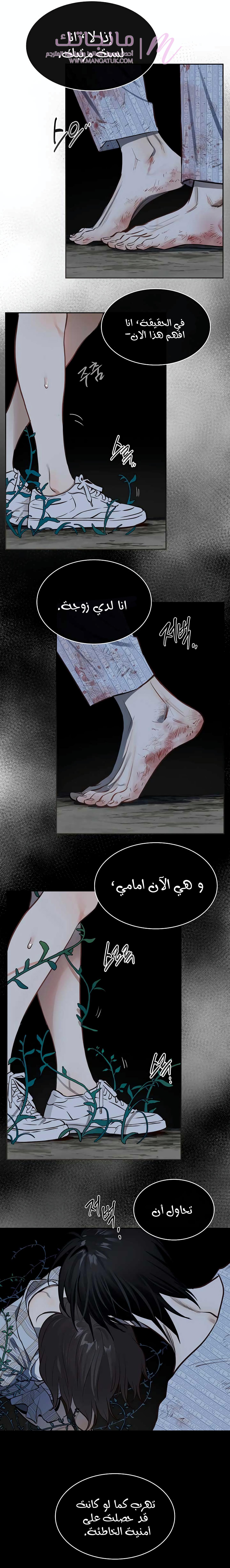 الصفحة 13