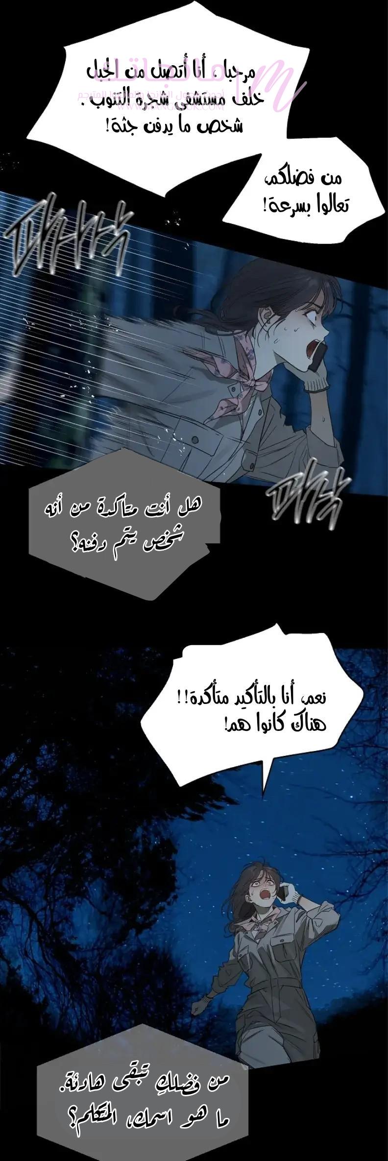الصفحة 25