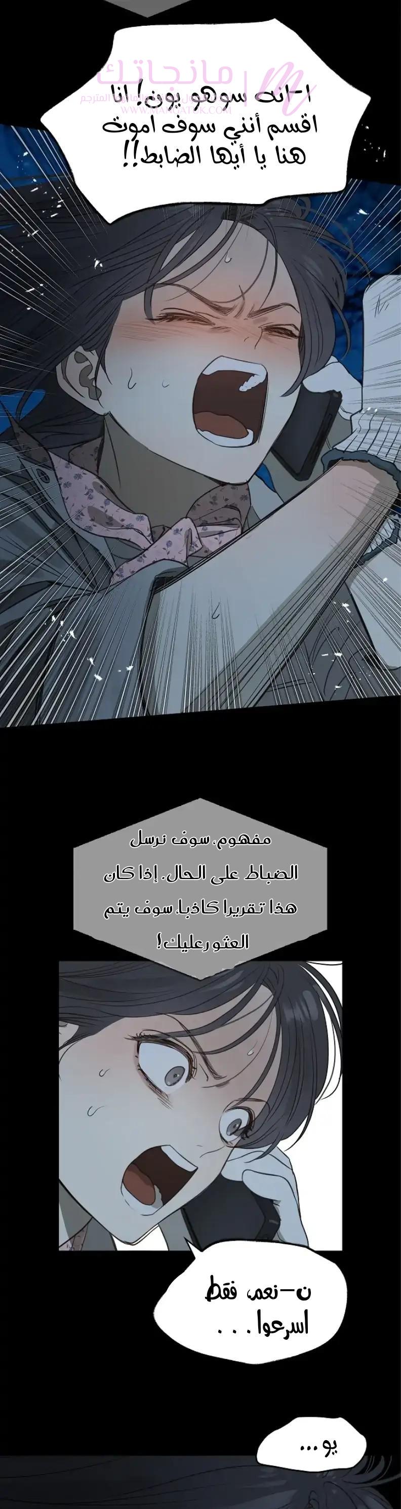 الصفحة 26