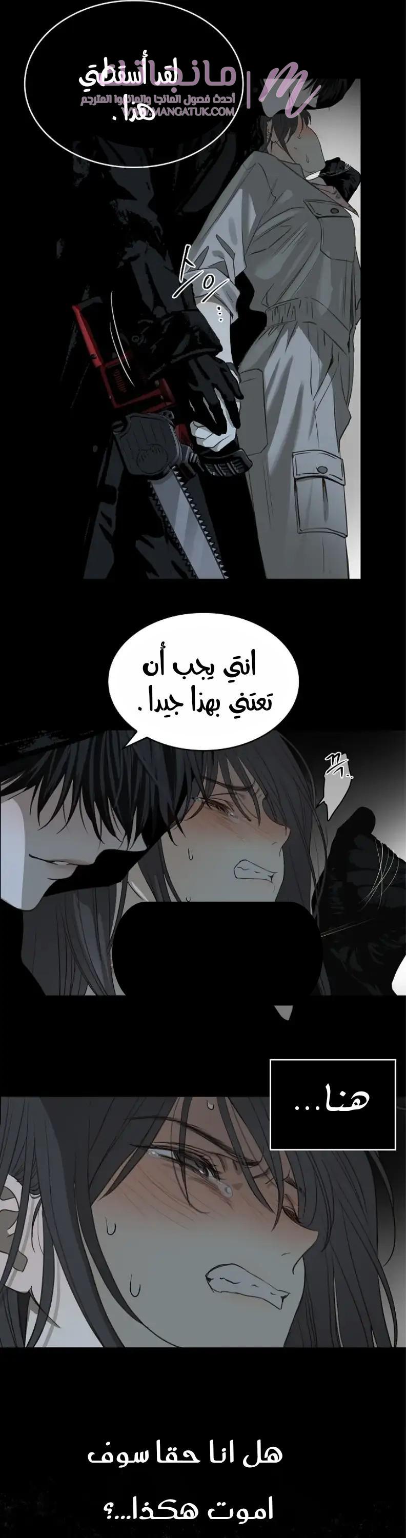 الصفحة 29