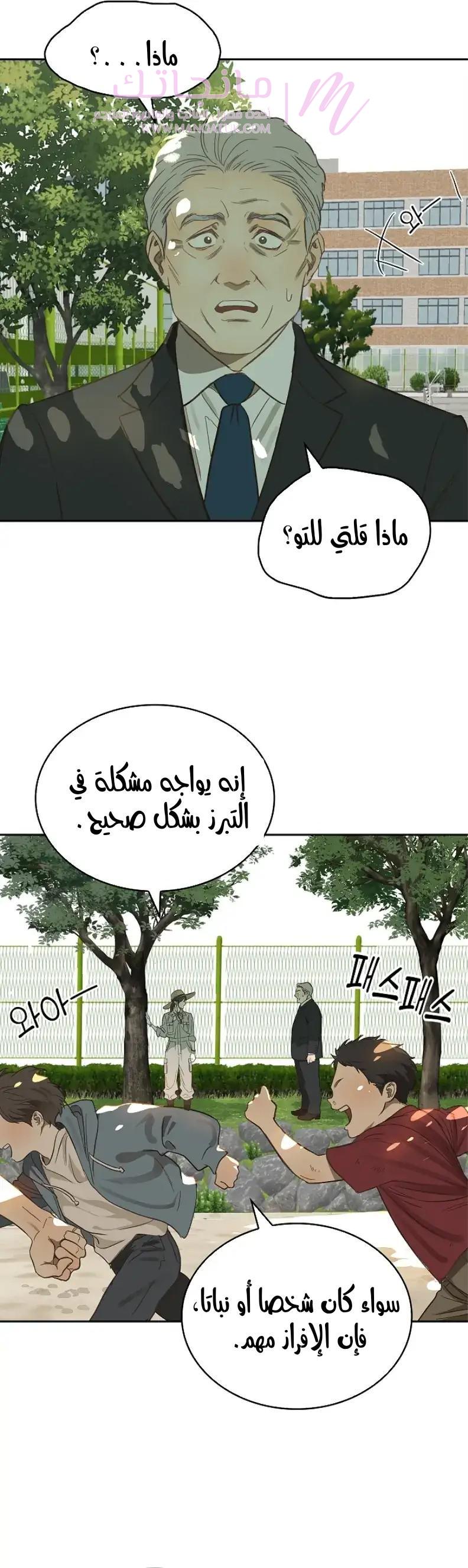 الصفحة 43