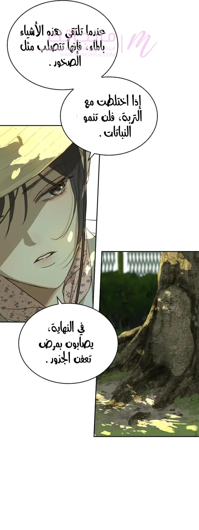 الصفحة 51
