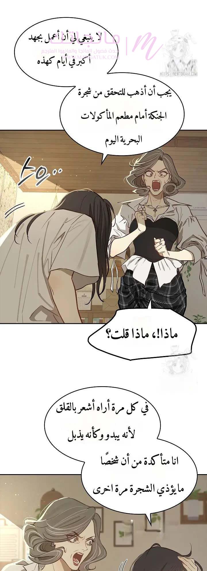 الصفحة 13