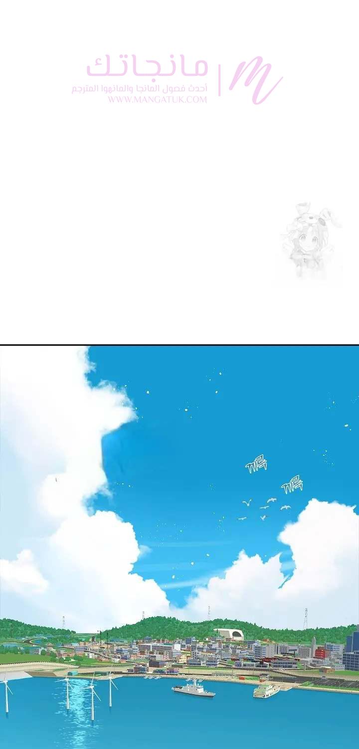 الصفحة 19