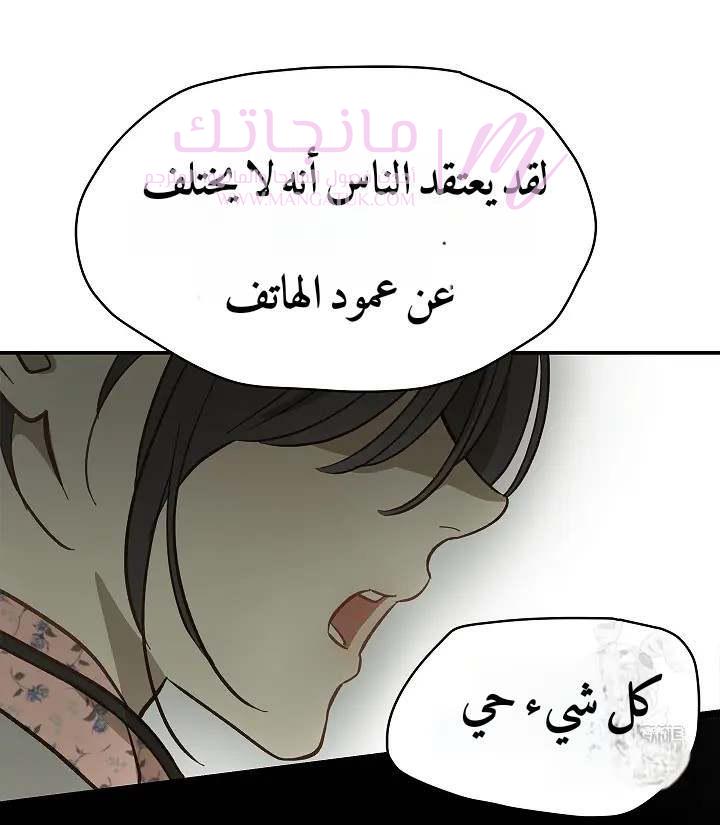 الصفحة 31