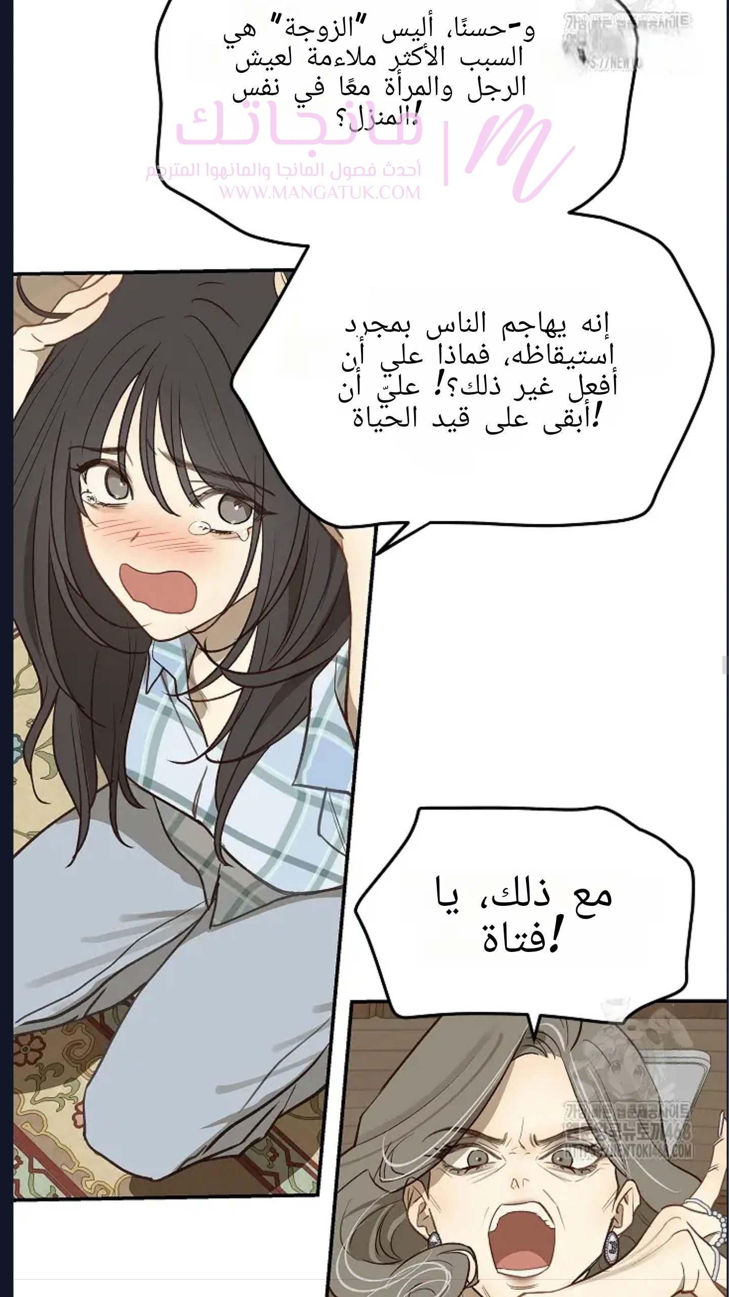الصفحة 31