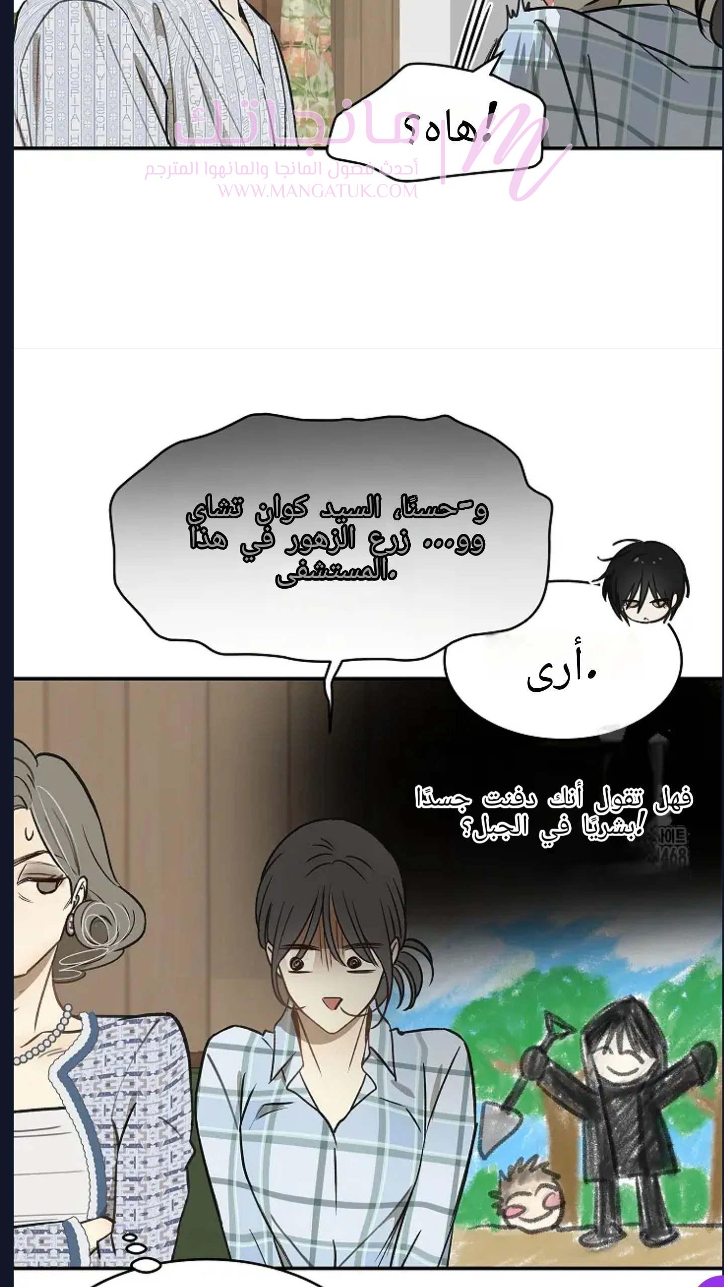 الصفحة 43