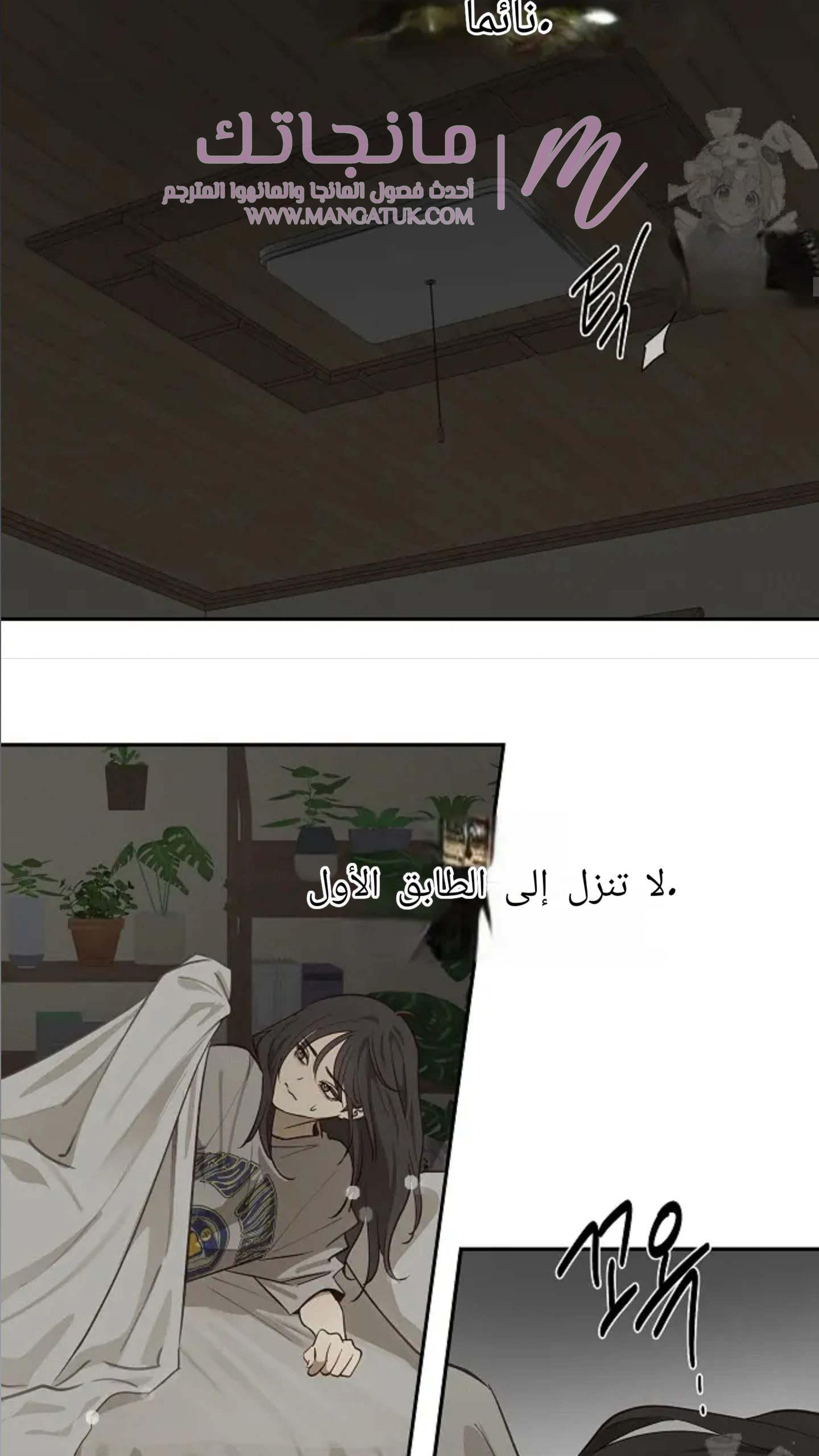 الصفحة 17