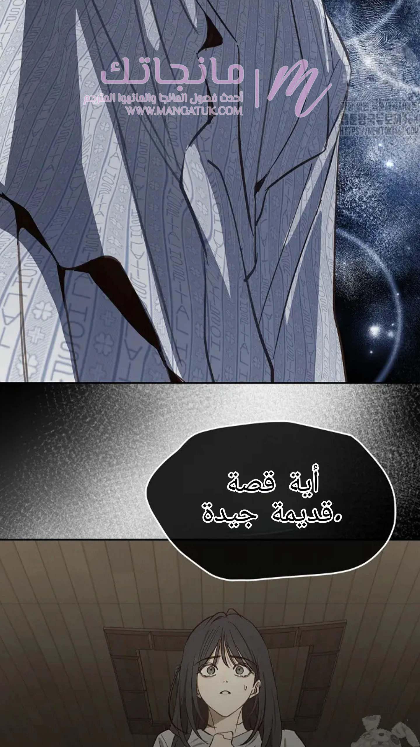 الصفحة 41