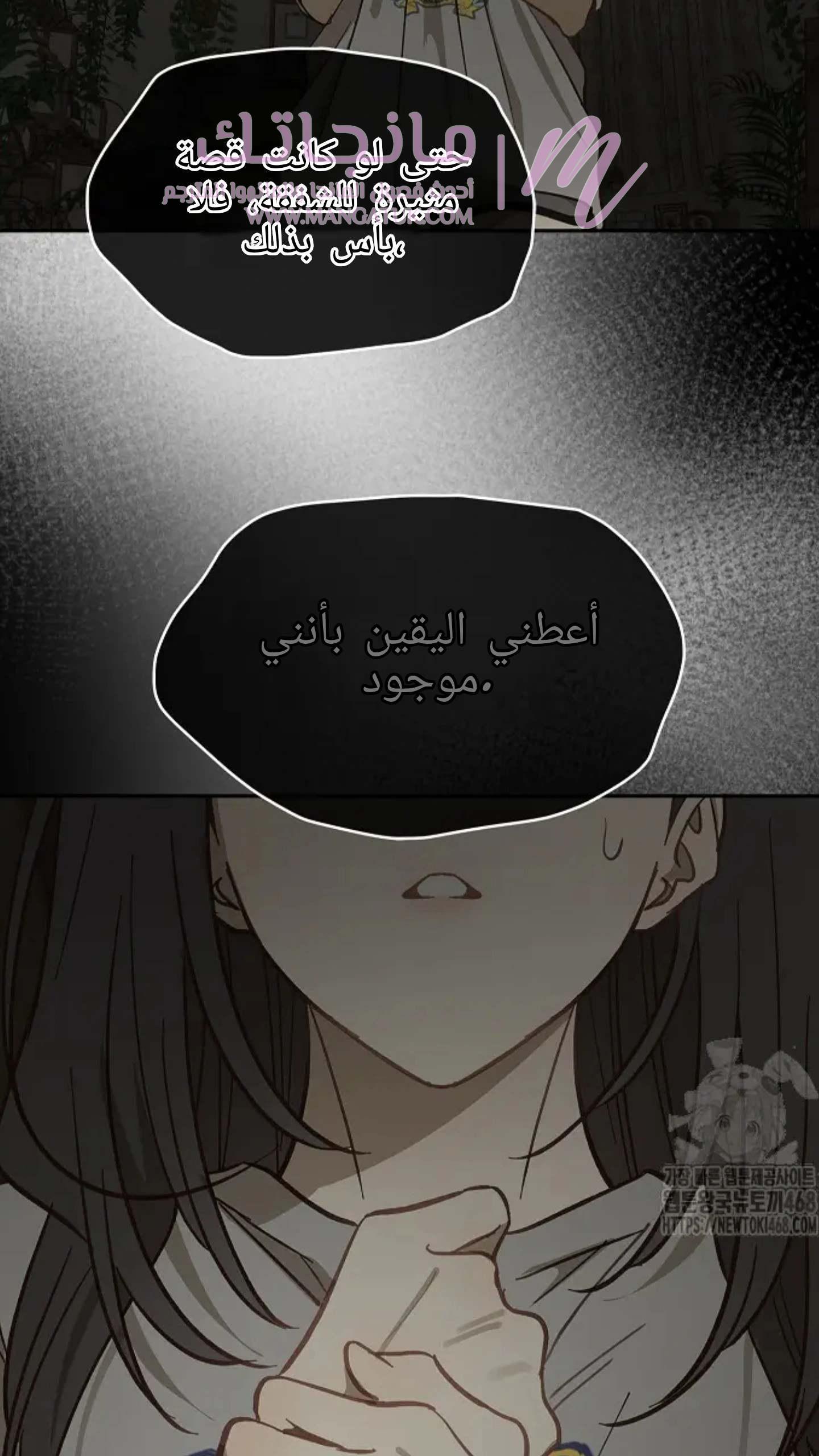 الصفحة 42