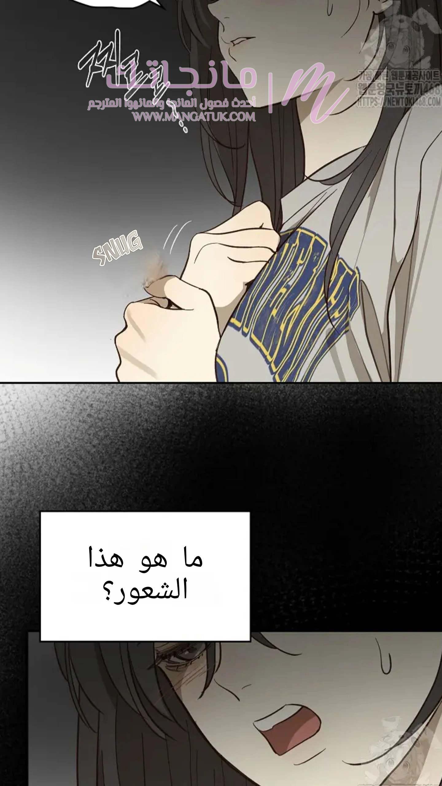 الصفحة 47