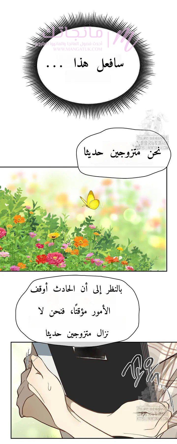 الصفحة 51